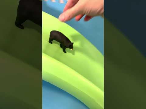 Moon Bear Toy Slide Fun!  #KidsLearning