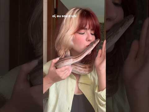 rotina diária com DUAS COBRAS #pet #petsfofinhos #animais #cobra