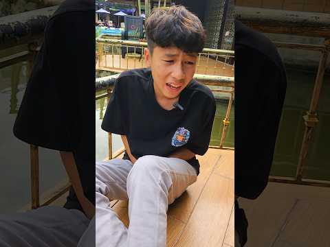 Trả trứng đây/kykycute #shorts #kykytv