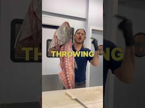 Have you ever had Amberjack collar!?