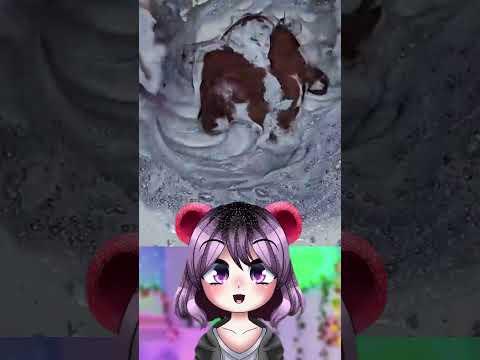 Limpiando a un OSITO 🐻✨ @Dr.Satisfaction