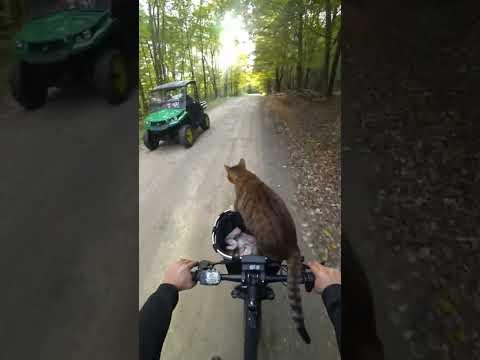 I still get comments about how much he doesn't like riding the bike...yeah...OK..😂@sivrock #ebike