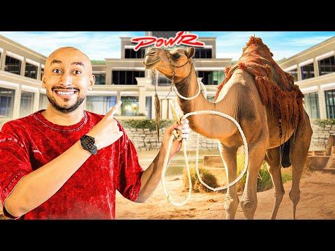 داهمت قصر باور بالجمل وصدمتهم 🐪😂!