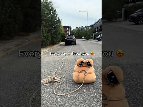 Big POU is low on stock! 😭 Get it Now! Link in Description #bigpou #plushtoys #plushies