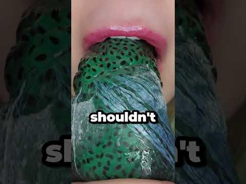 Eat egg frog ??!🐸