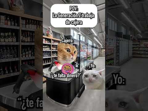 La Generación Z trabaja de cajera 🐱 #gatitoslindos #funnyvideo #storytime