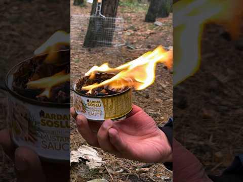 🔥survival skills #survival #outdoors #bushcraft #campfire #camping #asmr #solocamping