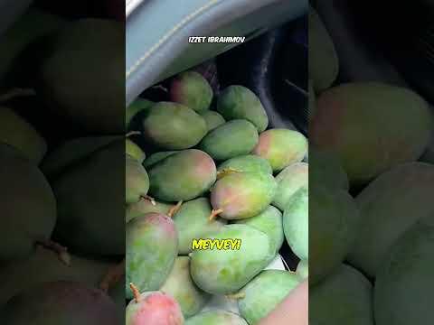 İnsanların Yolda MEYVE Almak İçin Yaptığı 5 TEHLİKELİ Şey