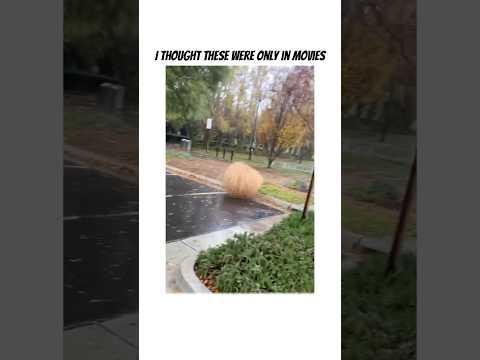 I thought these were only in movies