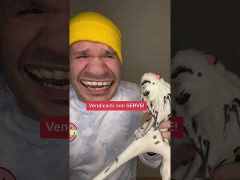 ERMENEGILDA IN CASTIGO PER 1 MESE!(dispetto elastikorps EP.4) SBADABEM💥#shorts