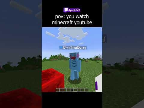 pov: the average minecraft youtube experience