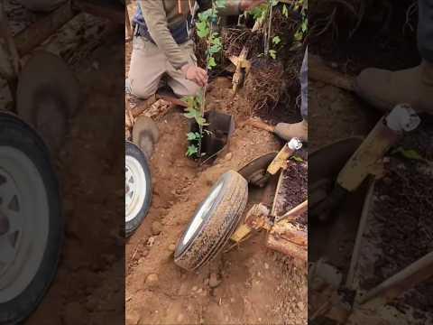 Mesin pembuat lubang tanam