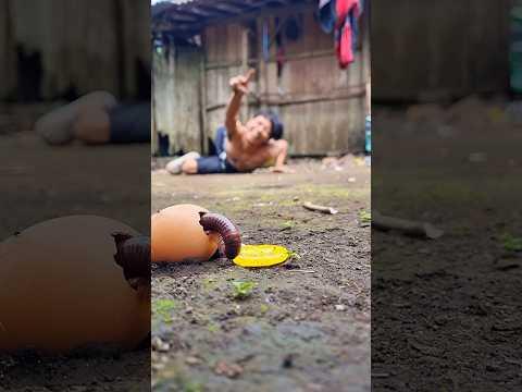 What's the coolest joke? When a candy can make millipedes hatch from their eggs to eat the candy!