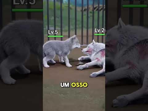 O lobo está com muita fome 😭😱