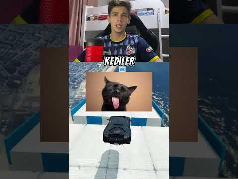 Kediler Hakkında Bilmediğiniz Gerçekler #shorts