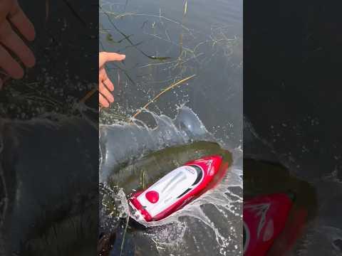 DAUGHTER TURNED OUT TO BE MUCH KINDER THAN DAD ❤️