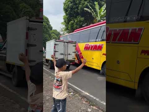BASURI BUS RIYAN #busmania #teloletbasuri