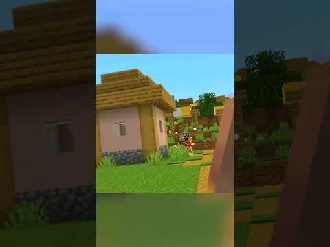 NEVER MESS WITH MY VILLAGERS