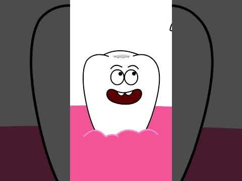 Brush me - Magic Blue Light - Brush your teeth - Kids Songs - Cartoon - Healthy Habits - Hooray