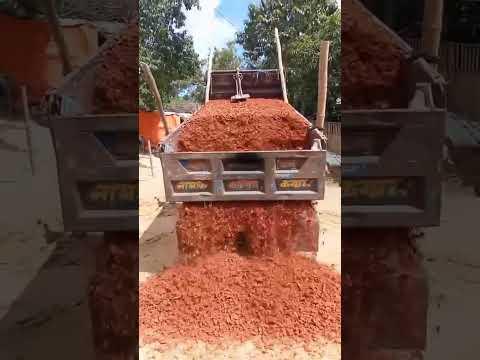 ভাইরাল করে দাও