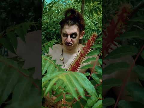 Меч из фэнтези в реальной жизни