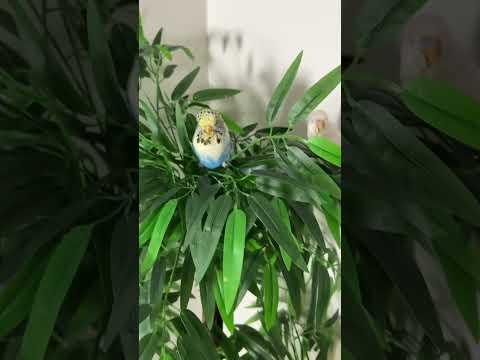 2 milyon olduk, sizi çok seviyoruz ❤️❤️