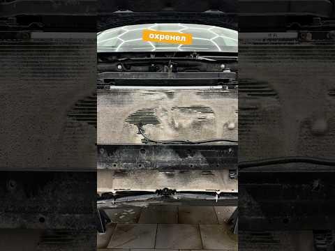 OZON: 1956916431 WB: 370417721