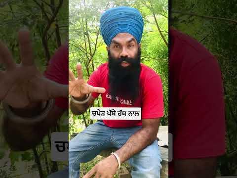 Guru Hargobind sahib ji#youtube #youtuber #youtubeshorts #trend #wmk #khalsa #viral