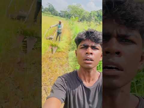 Dog voice prank : paddy field edition.!🐕😮‍💨