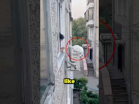 Cat Falling Off Ledge!! 🐈😱