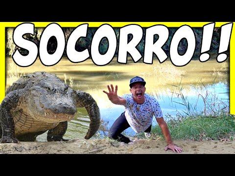 ** SOCORRO ** Me CAIGO a la PISCINA TOXICA un COCODRILO GIGANTE **Me MUERDE Y Me ATACA**
