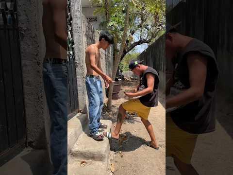 Vea la fotografía 🤡