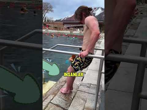 Bu adam yüzmeyi seviyordu. 🏊‍♂️