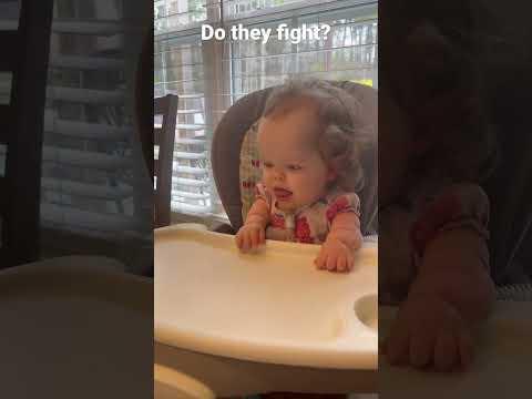 Who do you think will win?