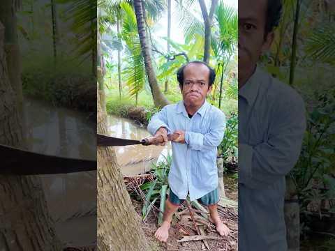 Small actions to help animals  #camping #bushcraft #animals