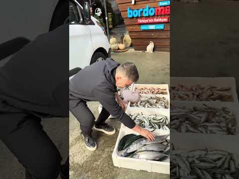 Sabah mamulleri 👌🐟