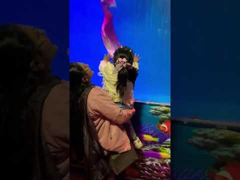 Misty ko chhod chupke se dekhi jalpari🔥🔥🔥#shorts #short #ytviral #ytshorts #youtube