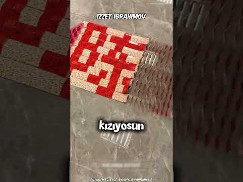 Baba ve Kızının Domino Macerası BÜYÜK YIKILIŞLA Sonuçlandı!