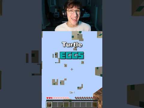 Minecraft, But The World Is Made of Turtle Eggs (again)
