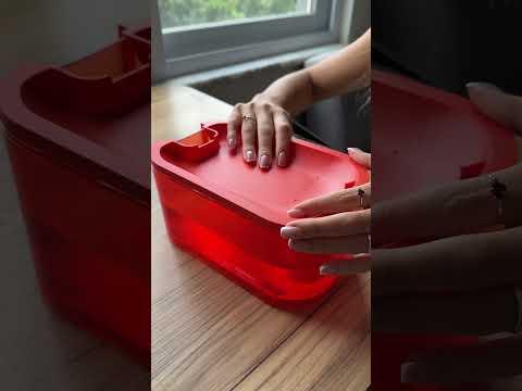 Johny Cat is no longer thirsty #pawaii & other trendy ones #shorts #johnycat #cat