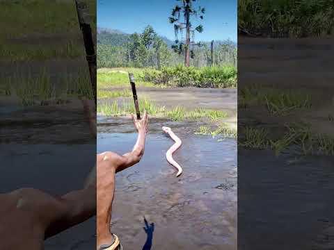 Great Survival Skills vid436