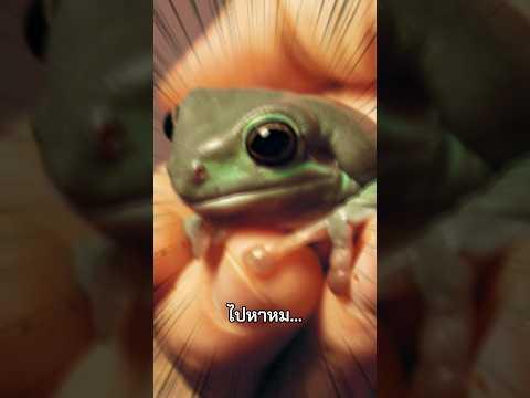 พากบไปหาหมอ 🐸