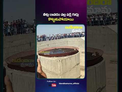 నీళ్లు రావడం వల్ల పక్షి గుడ్లు కొట్టుకుపోయాయి#funnyshorts#funnyvideos#creativeideas#innovativeideas