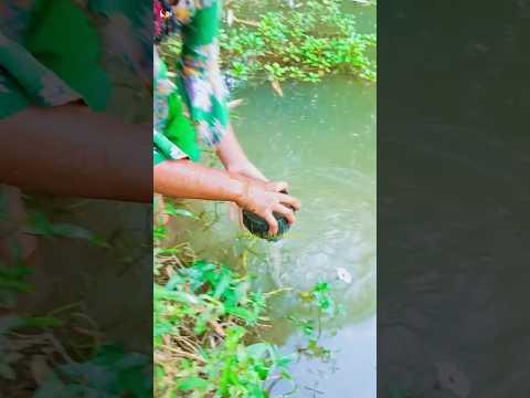 এমন ভাবে শীতের সকালে মাছ ধরার মজাই আলাদা #youtubeshorts