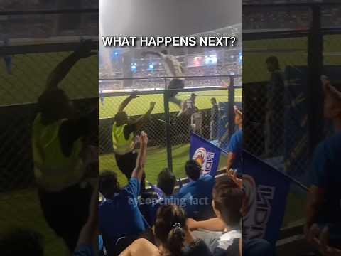 Pitch Invasion: What Happens Next?