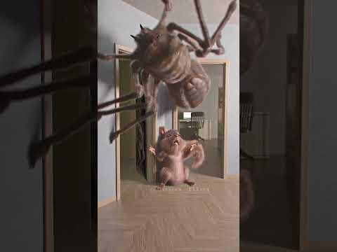 KK BRIGITTE the spider #spider #squirrel  #egofilm