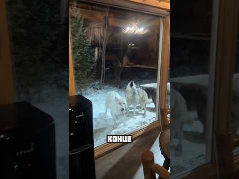 Покидайте такое место если оказали так же, потому что... 😱