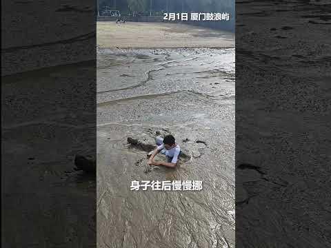 男孩不慎陷入泥潭，家长焦急万分，幸遇路人“教科书式”指导自救，男孩最终成功脱困。为热心路人点赞！