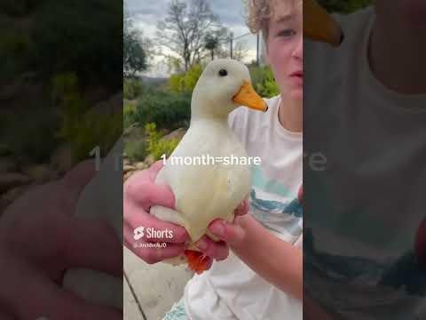 How long would you keep me?