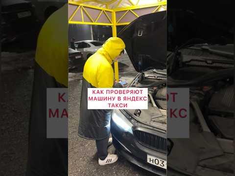 Как проверяют машину в Яндекс Такси?#лёлятакси#виптакси#бмв#vip#bmw#осмотр#авто#taxi#bmw5#бмв5#auto